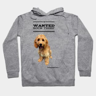 Cockapoo / Doodle Dog Sock Thief Hoodie